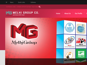 melhigroup.com Pakistan