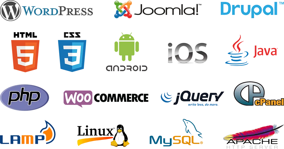 Web technologies covered in development courses