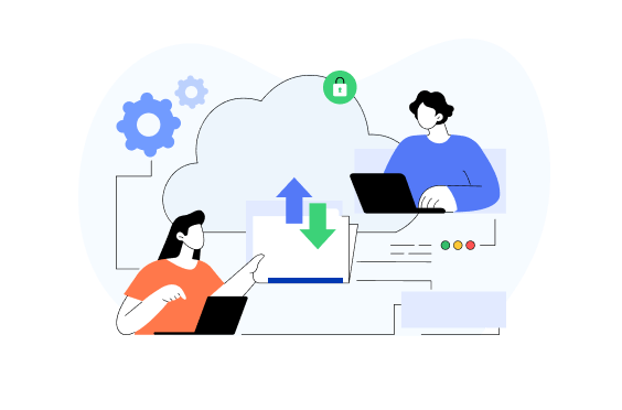 Website Backup