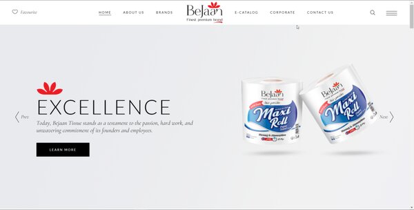 Bejaan Tissues - PK
